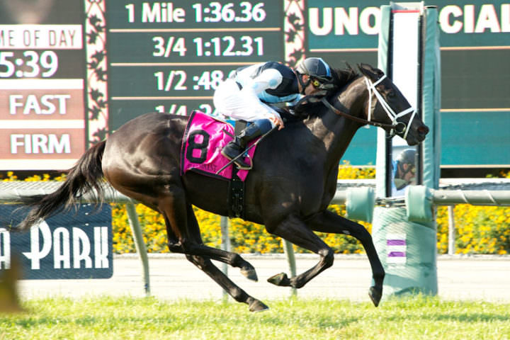 Illuminant Gamely Santa Anita