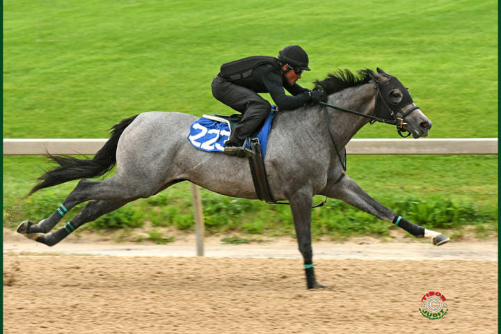 Knock Breeze