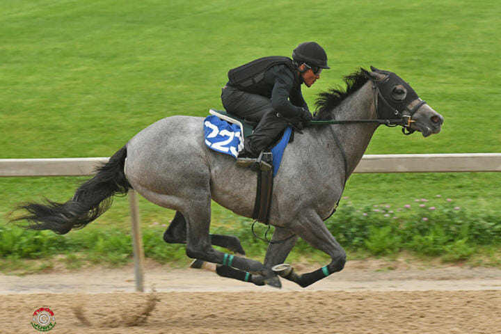Knock Breeze 2
