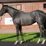 Lull (GB)