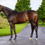 Silvery (GB)