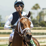 Victorious Dream (IRE)